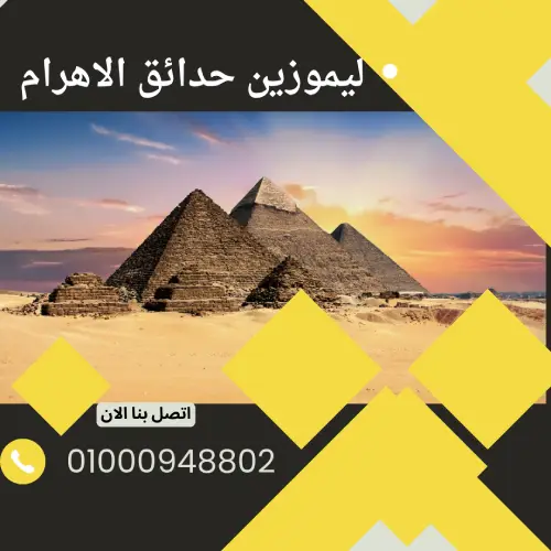 ليموزين حدائق الاهرام